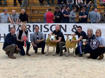 Champion and Reserve Left to Right: Ian Powley, Carrs Billington; Annabelle Hiddleston, Solway Recycling; Robert Cockburn, Judge; Robert Bennett, Plasucha; Aaron Myles (stocksman for Harestone Flock; Rachel Almond AB Europe;Rebecca MacTaggart, Rascarell 