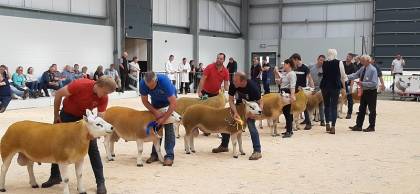 Judging gets underway