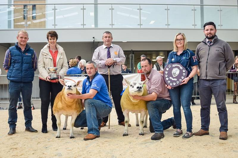 Champion and Reserve with our sponsors Ovibreed, Solway Recycling and Galloway McLeod with judge Robbie Wilson and Rebecca macTaggart with the new trophy