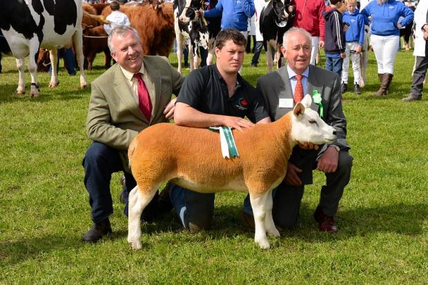Northumberland Show Results 