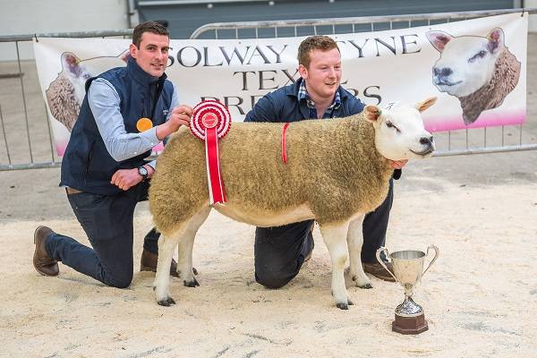 Carlisle Female Sale 9th Dec 2016