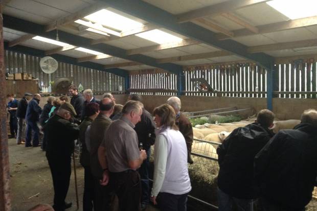 Club Open Day at Stainton Flock