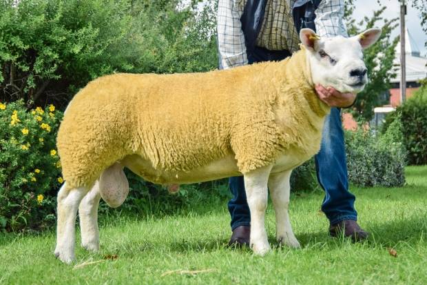 Carlisle sale 1st and 2nd September 2016