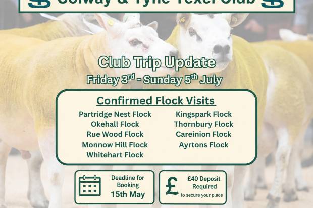 Solway & Tyne Texel Club Trip - 3rd - 5th July