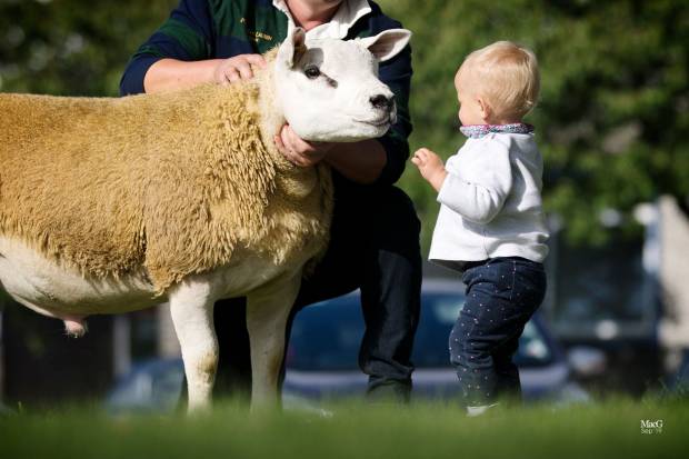 Photographs from both sales now available on our Gallery page.