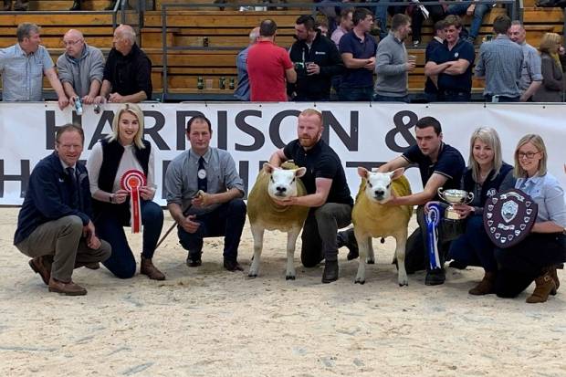 FEMALE SALE HIGHLIGHTS