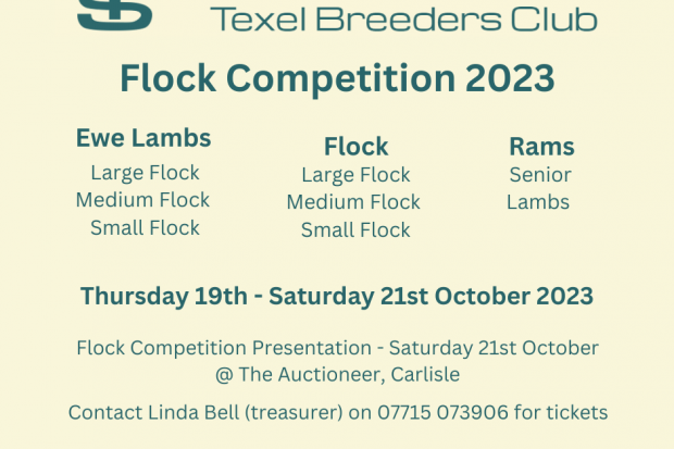 Solway & Tyne Texel Breeders Club - Flock Competition 2023