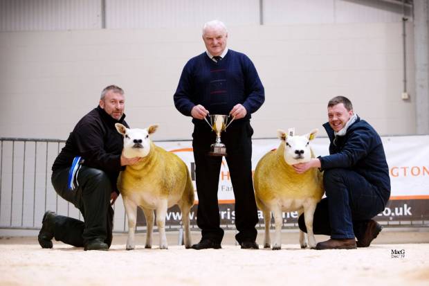 FEMALE SALE HIGHLIGHTS AND RESULTS