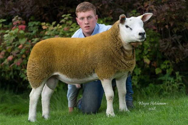 SALE REPORT FROM FIRST SALE NOW AVAILABLE ALSO MORE PICTURES ON GALLERY PAGE 